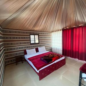 Milky Way Nights Camp